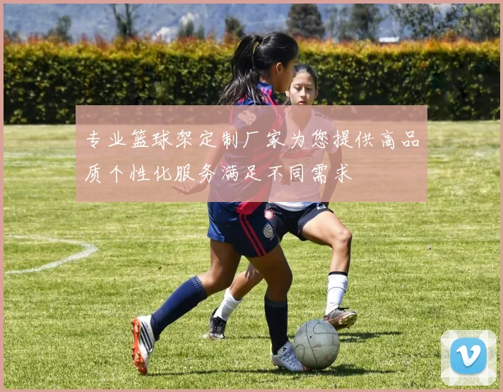 专业篮球架定制厂家为您提供高品质个性化服务满足不同需求