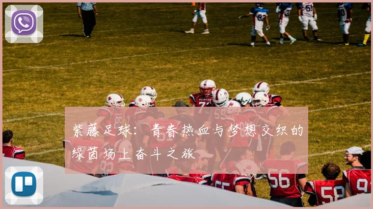 紫藤足球：青春热血与梦想交织的绿茵场上奋斗之旅