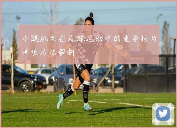 小腿肌肉在足球运动中的重要性与训练方法解析